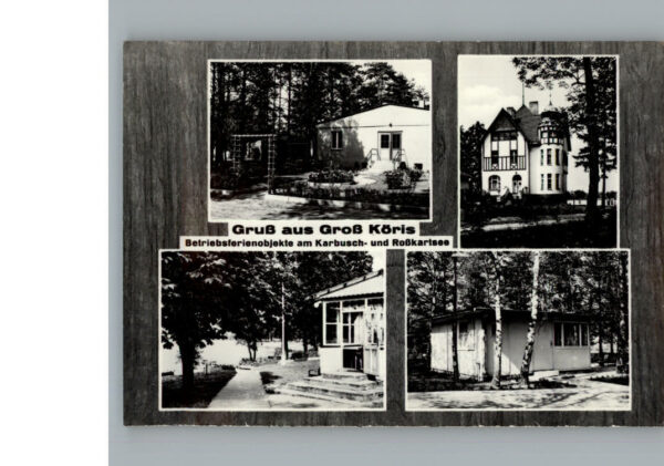 Gross Koeris