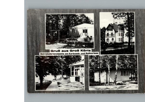 Gross Koeris
