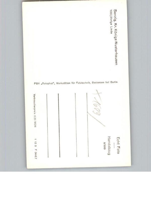 Senzig – Bild 2