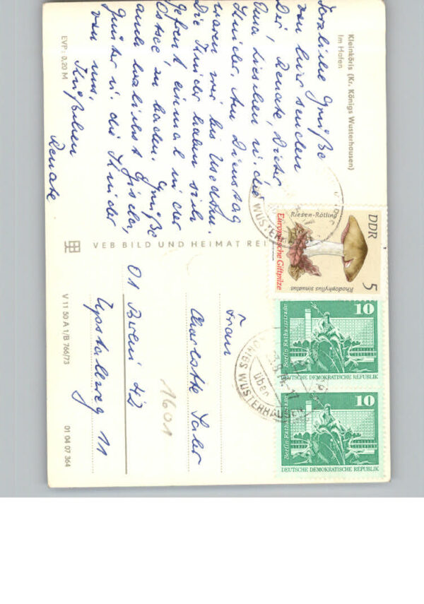 Klein Koeris – Bild 2