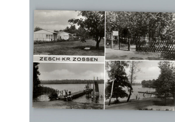 Zesch