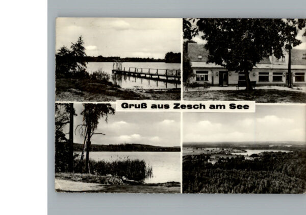 Zesch