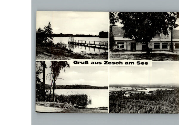 Zesch