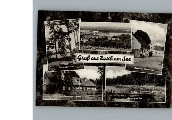 Zesch