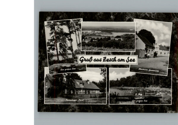 Zesch