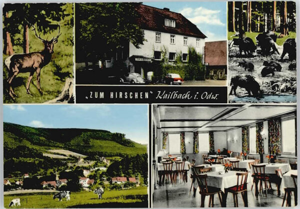 Kailbach Gasthaus-Pension Zum Hirschen