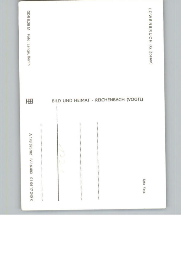 Loewenbruch Gasthof Zum Loewen – Bild 2