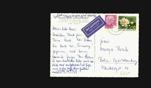 Maikammer Pension Kalmithoehenstrasse – Bild 2