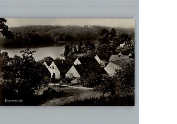 Binenwalde
