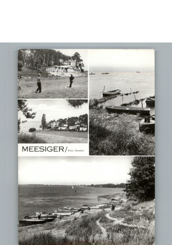 Meesiger