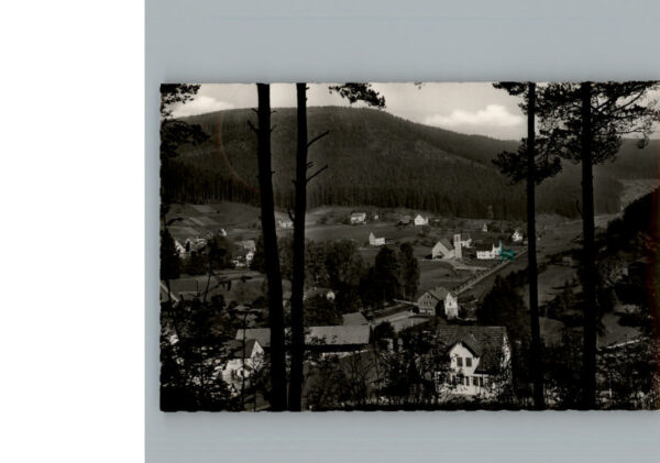 Enzkloesterle