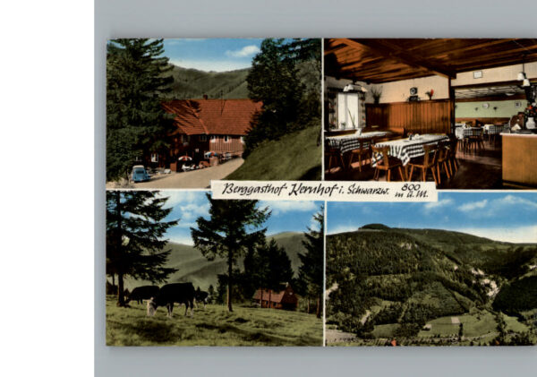 Seebach Ortenaukreis Gasthof Pension Kernhof