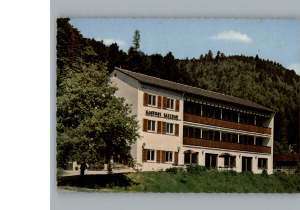 Zell Harmersbach Gasthof Pension Kleebad