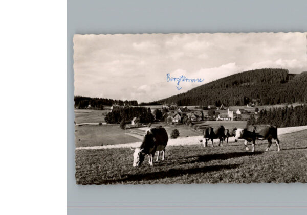Saig Schwarzwald