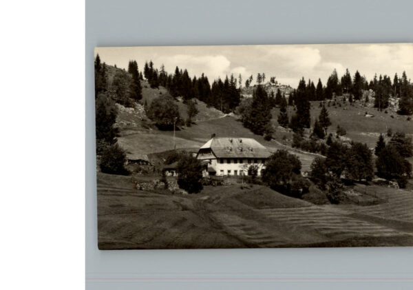 Blasiwald Schlegelhof