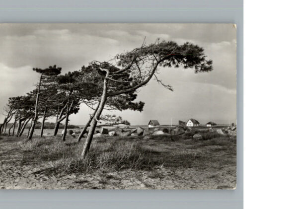 Neuendorf Hiddensee