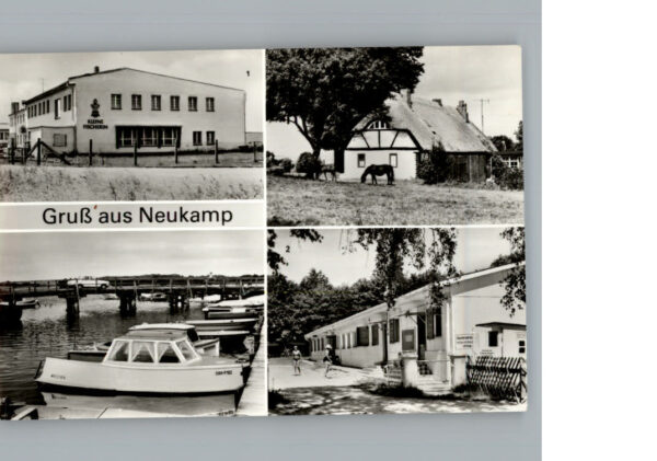 Kasnevitz