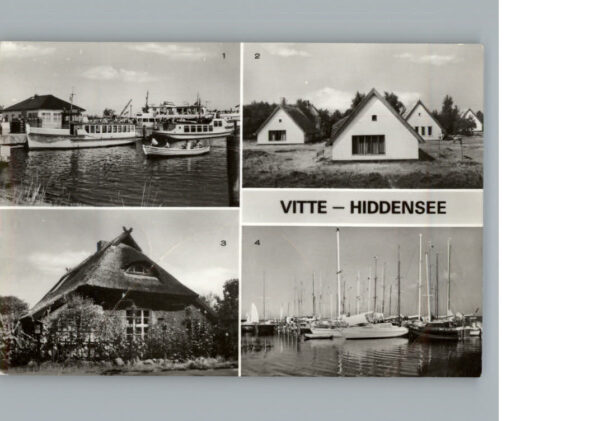 Vitte