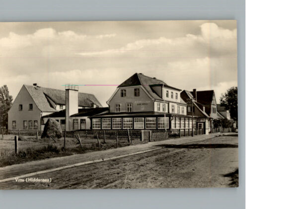 Vitte