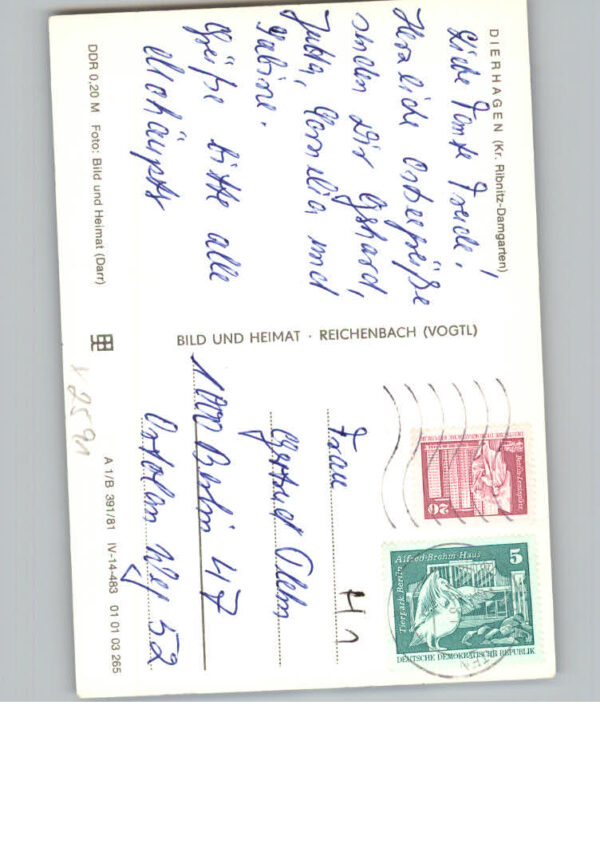 Dierhagen Ostseebad – Bild 2