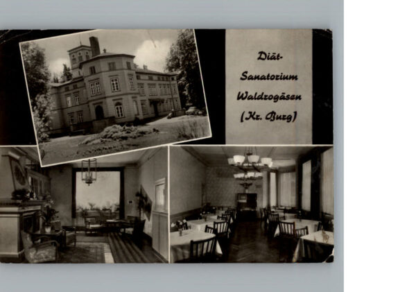 Waldrogaesen Wuestenjerichow