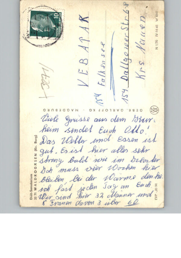 Waldrogaesen Wuestenjerichow – Bild 2