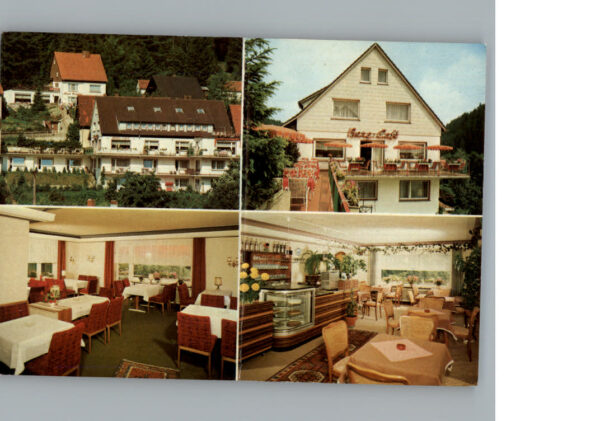 Altenau Harz Hotel - Pension Bergquell