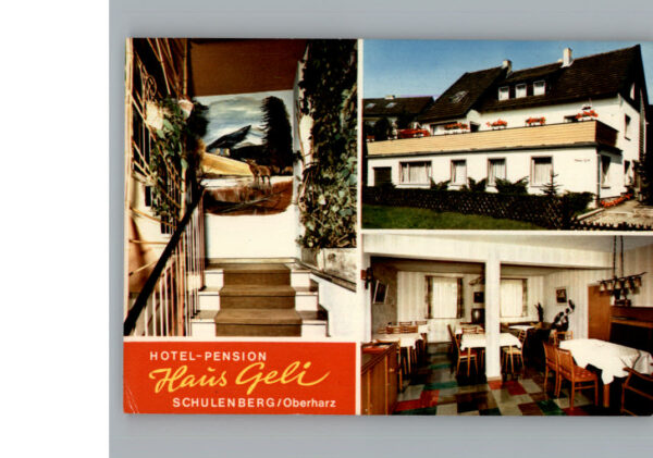 Schulenberg Oberharz Hotel - Pension Haus Geli
