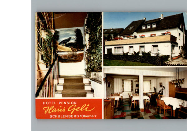 Schulenberg Oberharz Hotel - Pension Haus Geli