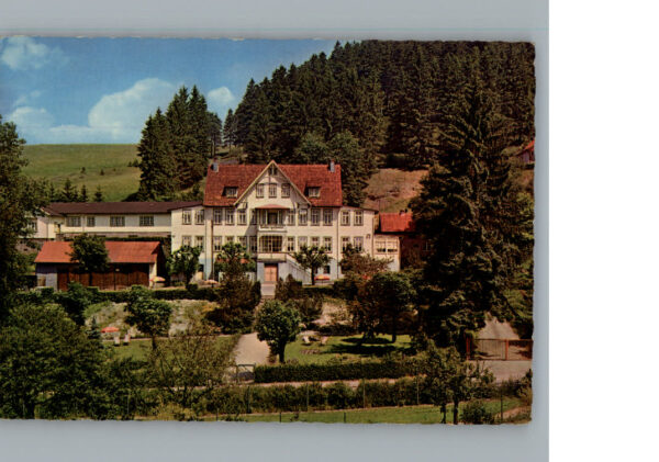 Altenau Harz Hotel Koch