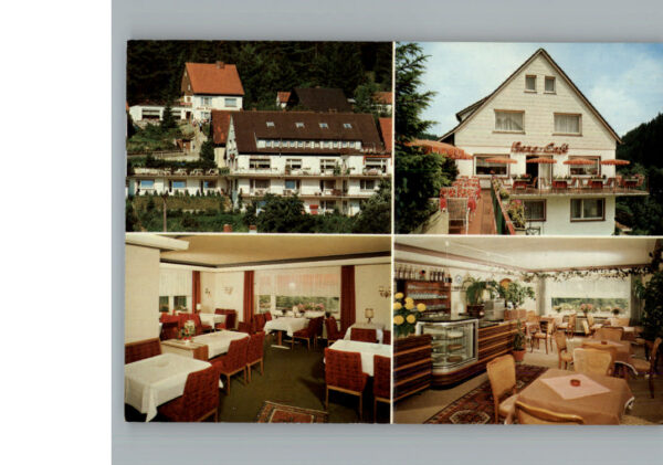 Altenau Harz Hotel - Pension Bergquell