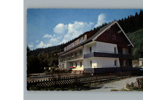 Wildemann Hotel - Pension Haus Vogelsang