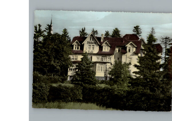 Hahnenklee-Bockswiese Harz Hotel - Pension Viktoria Luise
