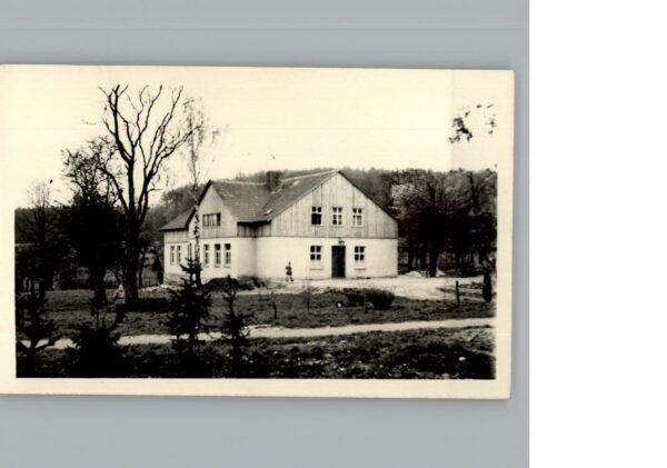 Langeleben Elm
