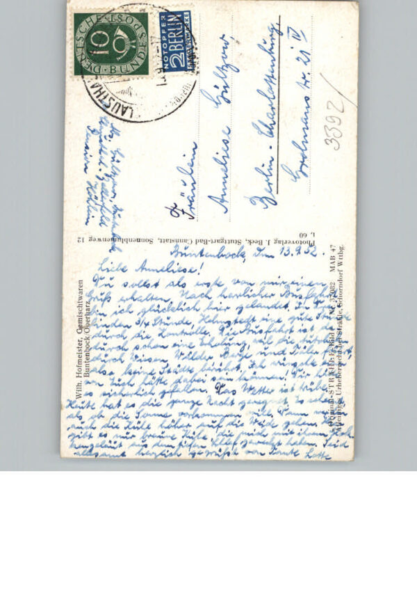Buntenbock Fliegeraufnahme – Bild 2