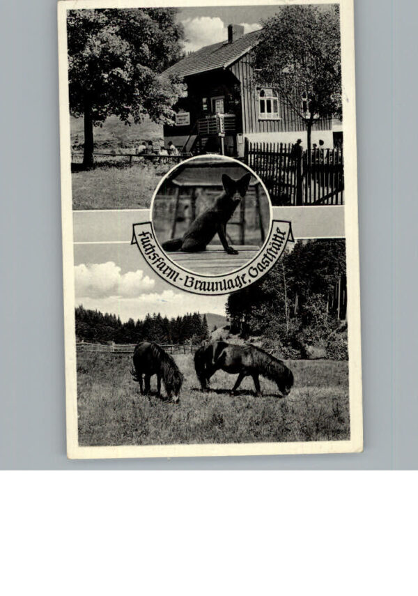 Braunlage Gaststaette Fuchsfarm