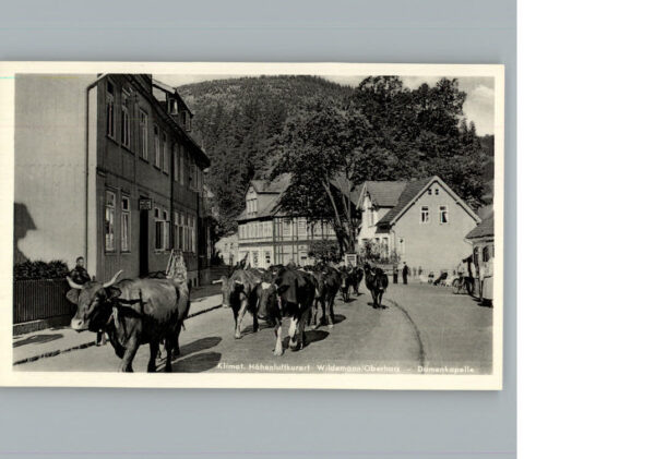 Wildemann