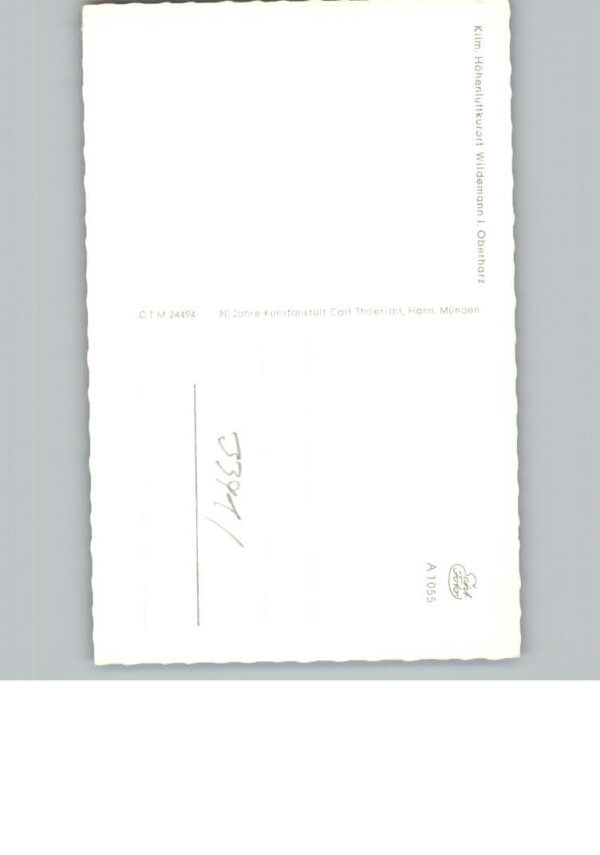 Wildemann – Bild 2