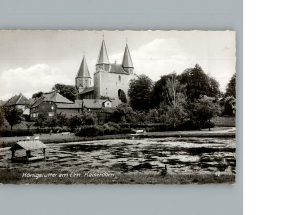 Koenigslutter Elm