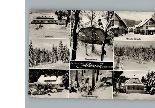 Altenau Harz Hotel
