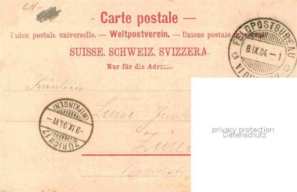 Militaria Schweiz Gruppenfoto Soldatengruss – Bild 2