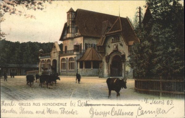 Berlin Hundekeule