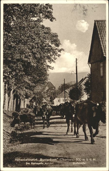 Buntenbock
