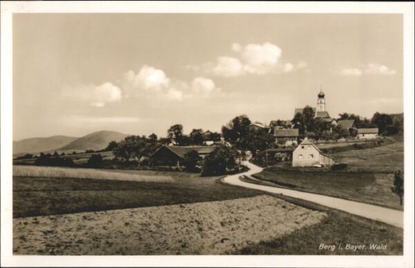 Berg Metten