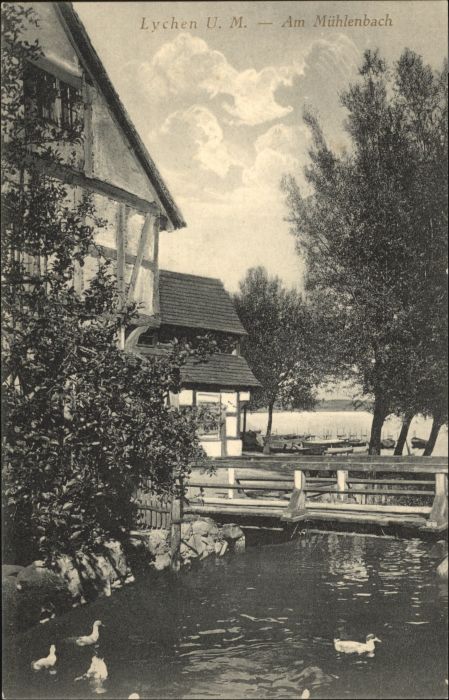 Lychen Muehlenbach