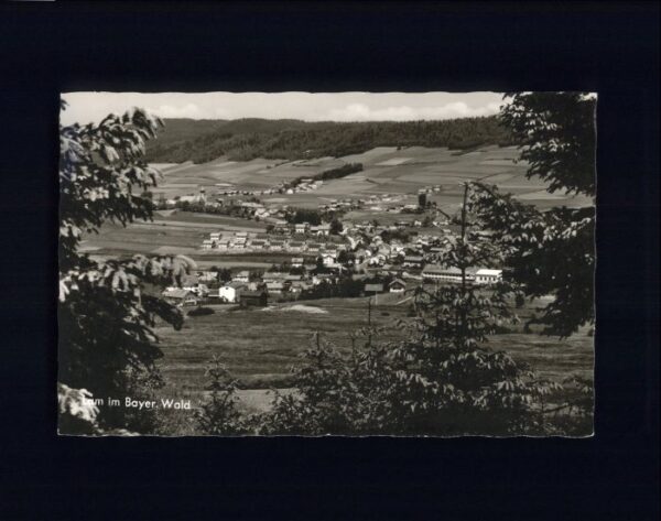 Lam Oberpfalz Lam