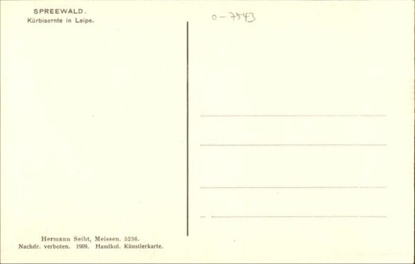 Leipe Kuerbisernte – Bild 2