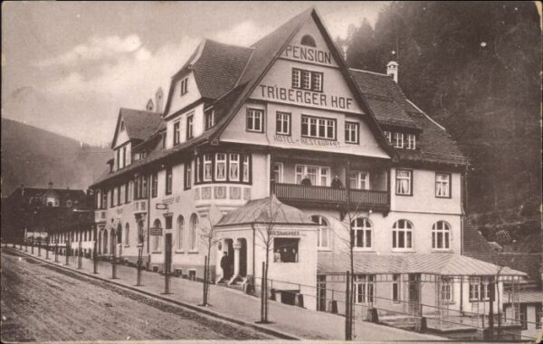 Triberg Triberger Hof