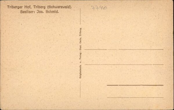 Triberg Triberger Hof – Bild 2