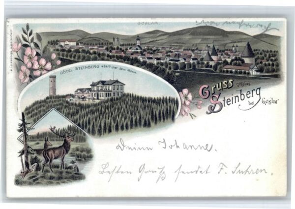 Goslar Steinberg Hotel  Hirsch